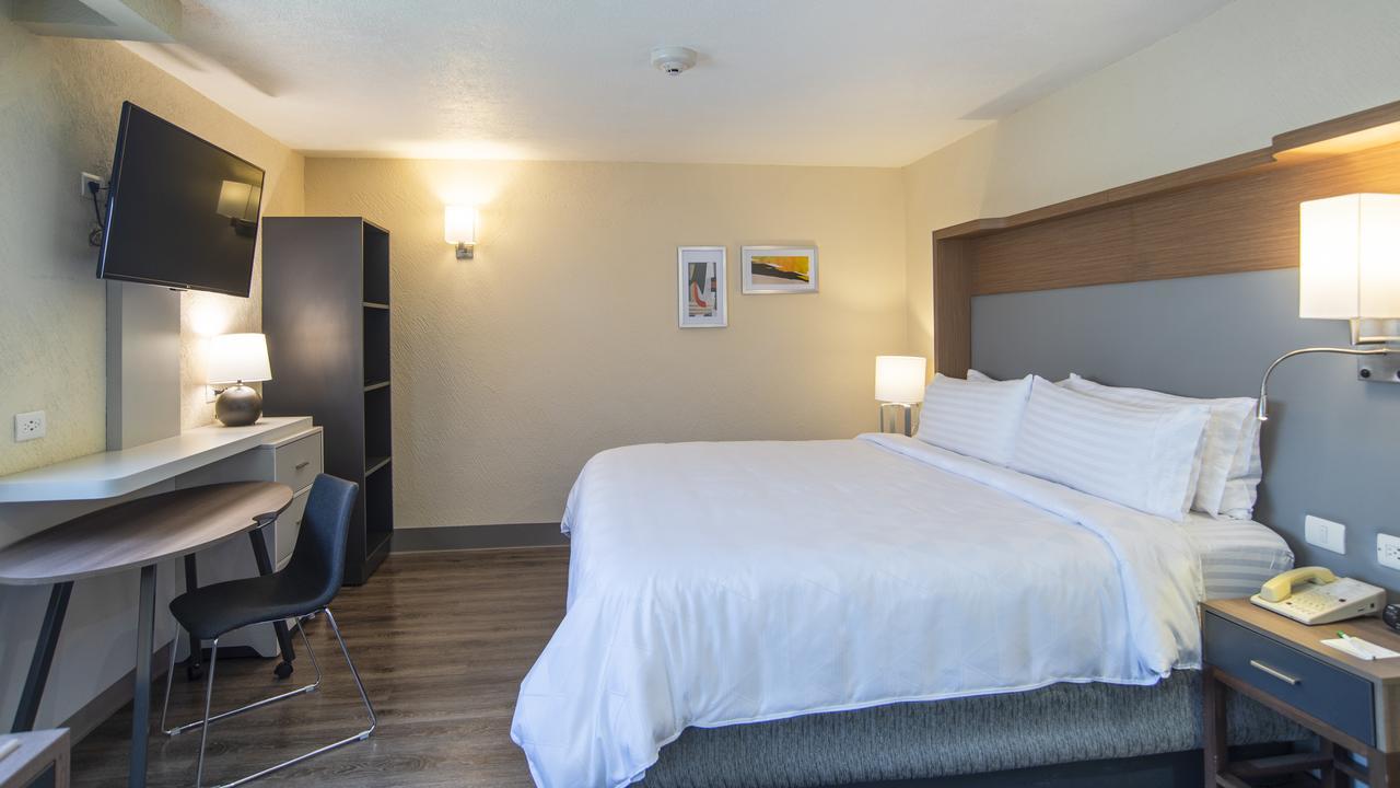 Holiday Inn Mexico Coyoacan Bagian luar foto